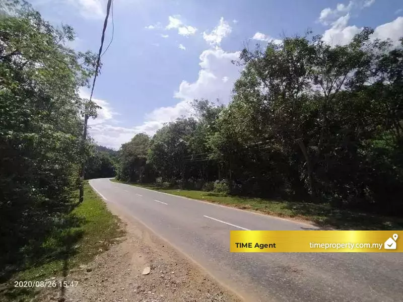 Tasek Gelugor — photo 2