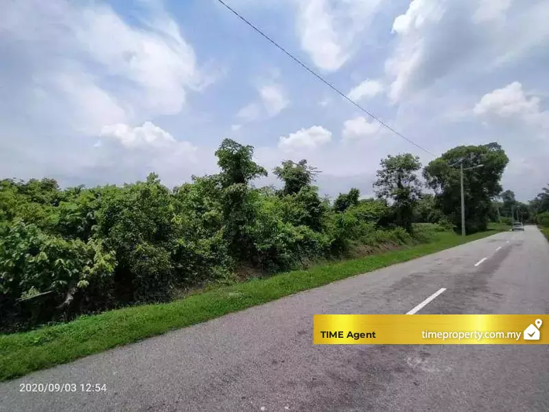 Tasek Gelugor — photo 3