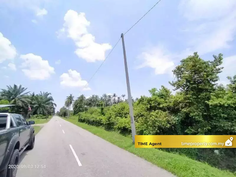 Tasek Gelugor — photo 4