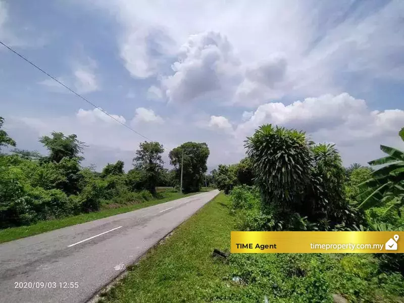 Tasek Gelugor — photo 5