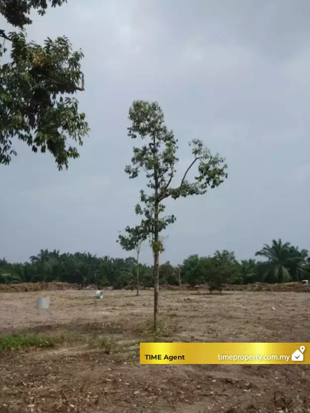 Telok Panglima Garang, Kuala Langat — photo 1