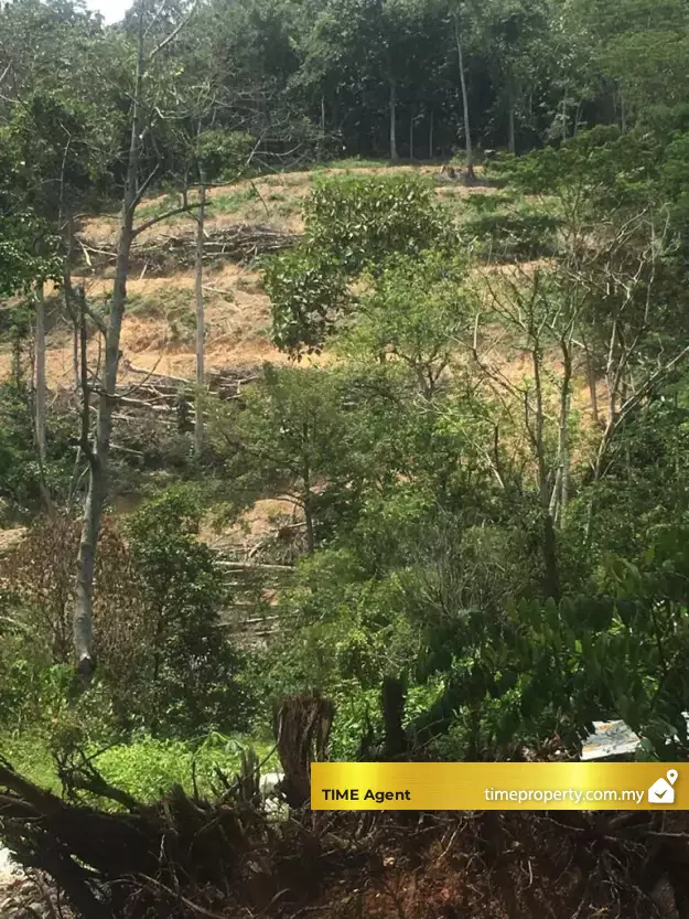 Gombak — photo 2