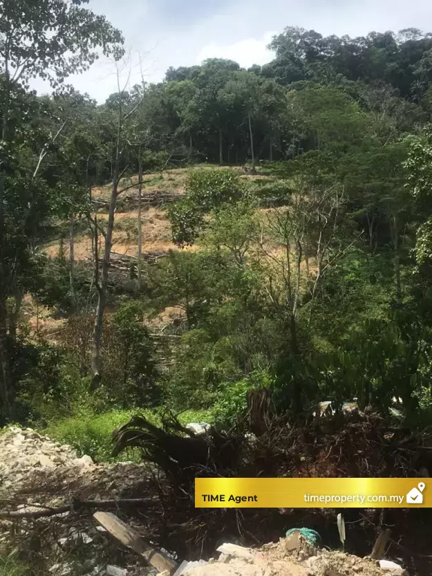 Gombak — photo 3