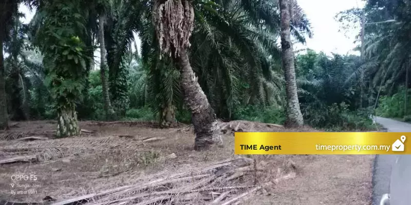 Nibong Tebal — photo 1