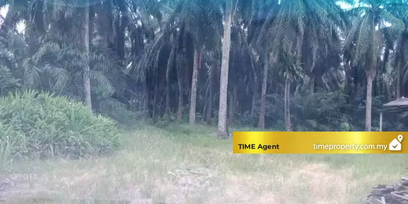 Nibong Tebal — photo 3