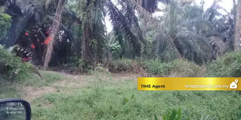 Nibong Tebal — photo 4