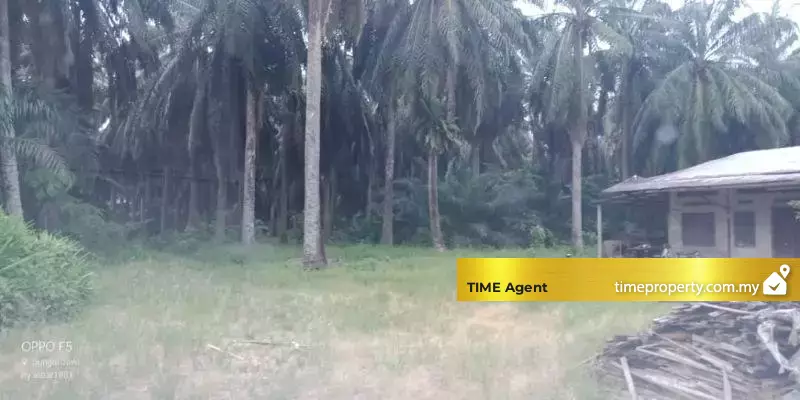 Nibong Tebal — photo 5