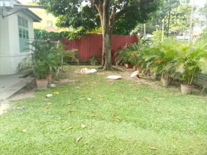 Pudu