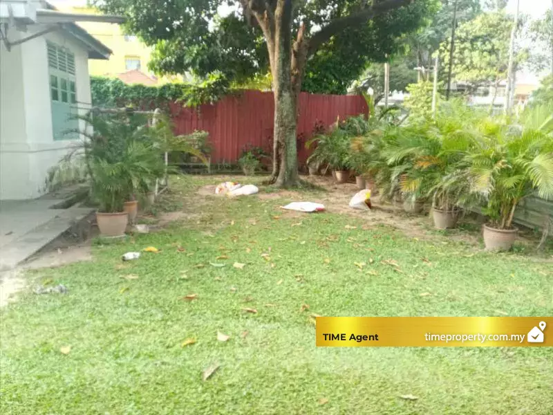 Pudu — photo 1