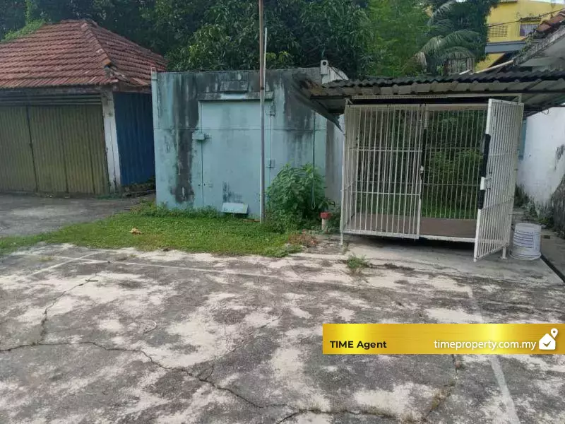 Pudu — photo 2