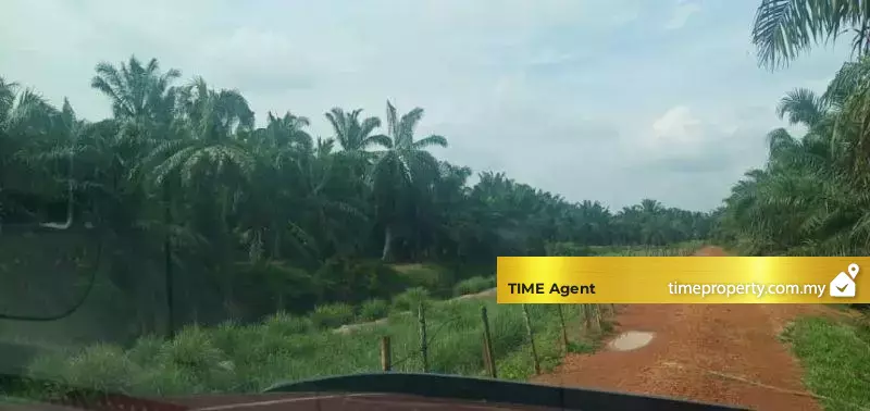 Jeram, Kuala Selangor — photo 1