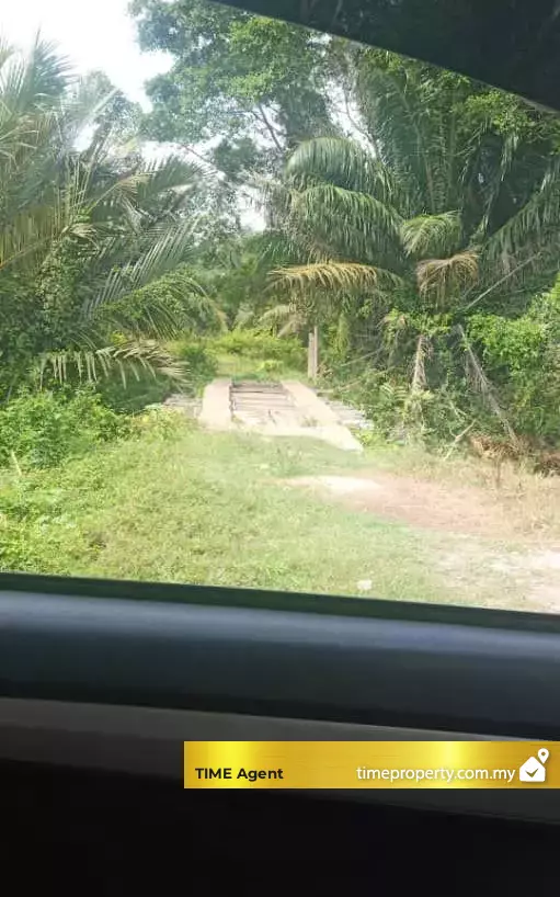 Jeram, Kuala Selangor — photo 2