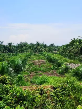 Tanjong Sepat, Kuala Langat