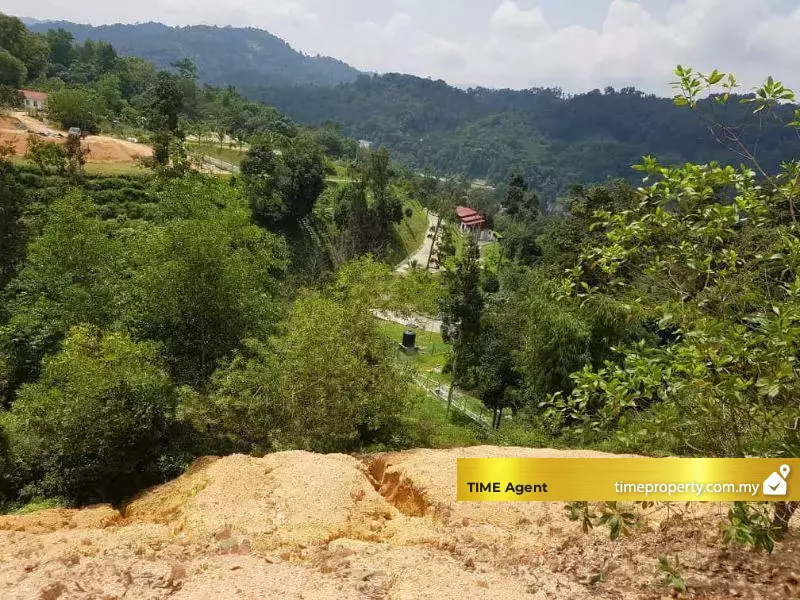 Gombak — photo 1
