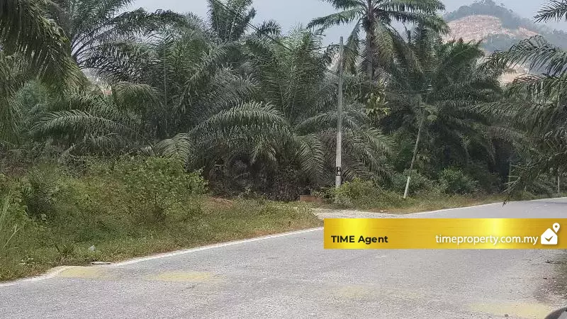 Jawi, Sungai Jawi — photo 2