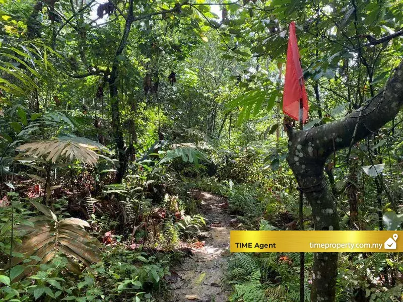 Ampang, Gombak — photo 1