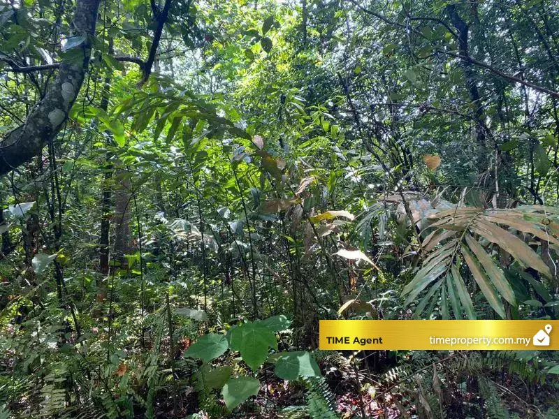 Ampang, Gombak — photo 2