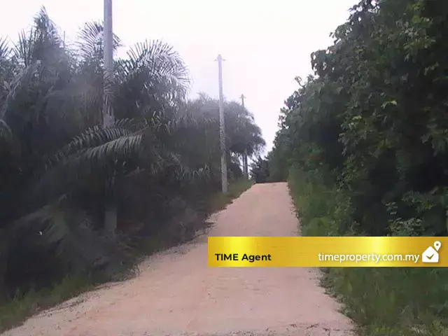 Kerling, Hulu Selangor — photo 1