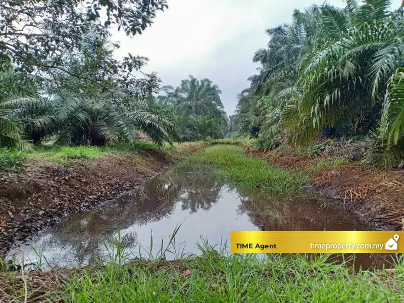 Kuala Selangor — photo 4