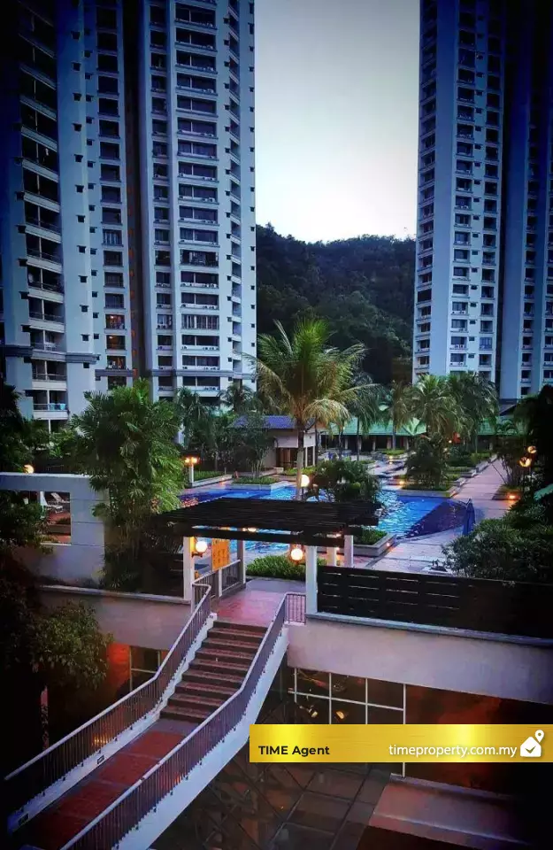 Miami Green — photo 5