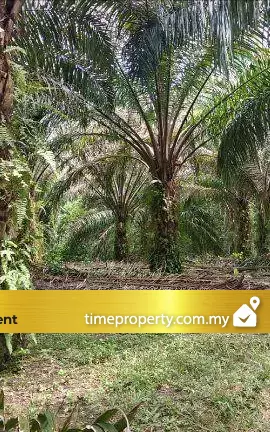 Serendah, Hulu Selangor — photo 1