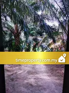 Serendah, Hulu Selangor — photo 3