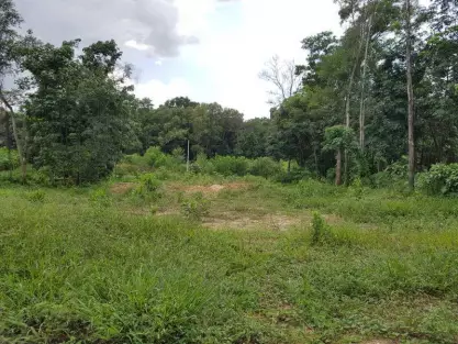 Sungai Buloh, Petaling