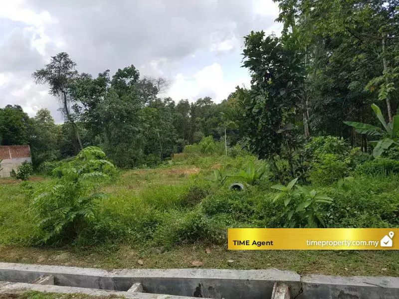 Sungai Buloh, Petaling — photo 5